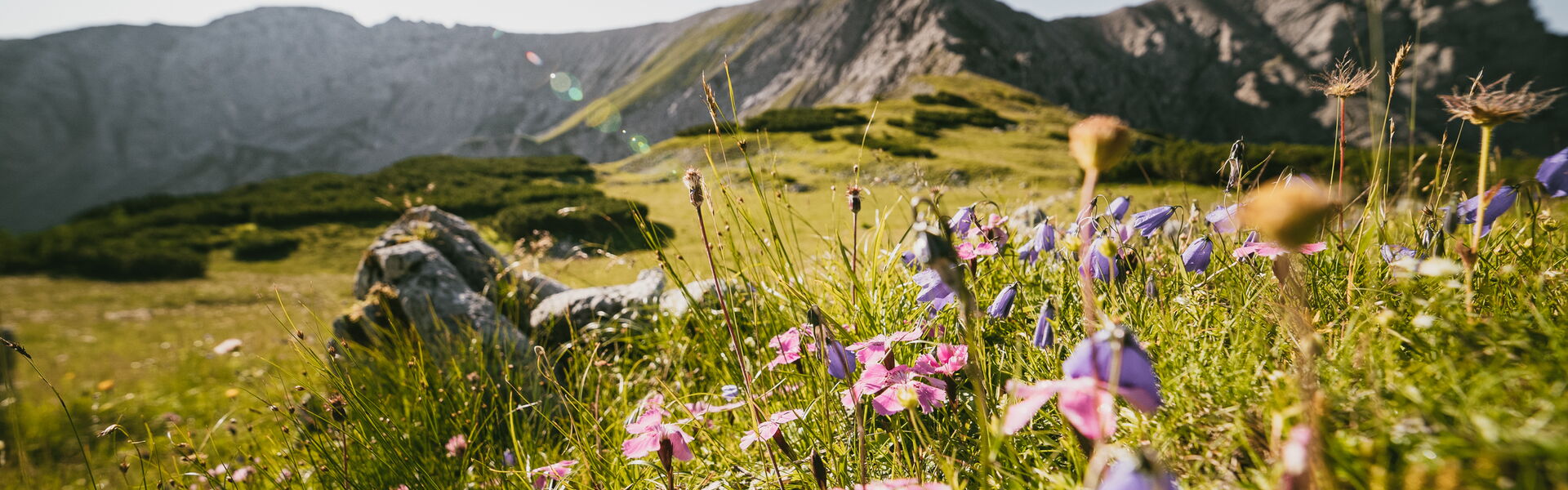 Hiking in Hinterstoder