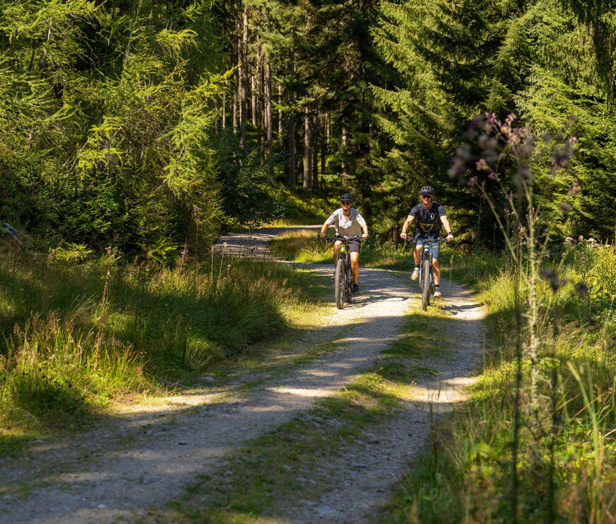 Mountianbining Flachau