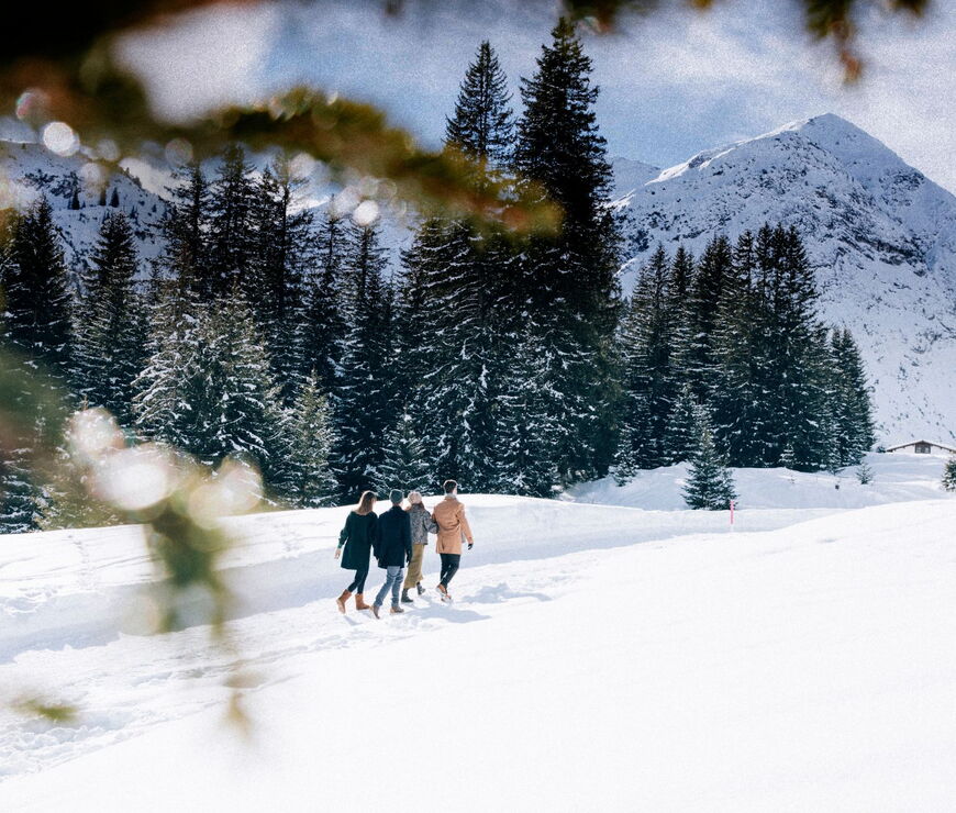 Winterspaziergang durch verschneite Winterlandschaften in Hinterstoder