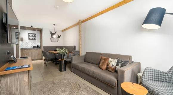 1-Bedroom Suite with Terrace